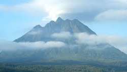 It's said that the mountain Mount Elgon is the coo It's said that the mountain Mount Elgon is the coolest place to escape from the hot and humid weather and people prefer to visit the place in hot weat